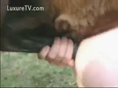 Being taken advantage of by Big Wang